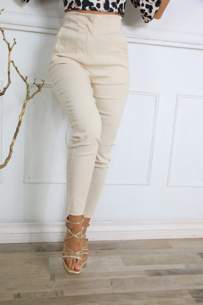 Pantalon Pinzas Alto