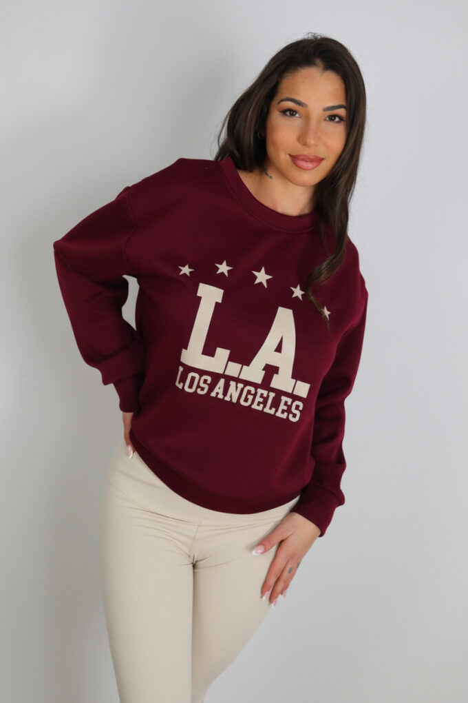 Sudadera L.A.