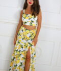 Conjunto LImones - Imagen 2