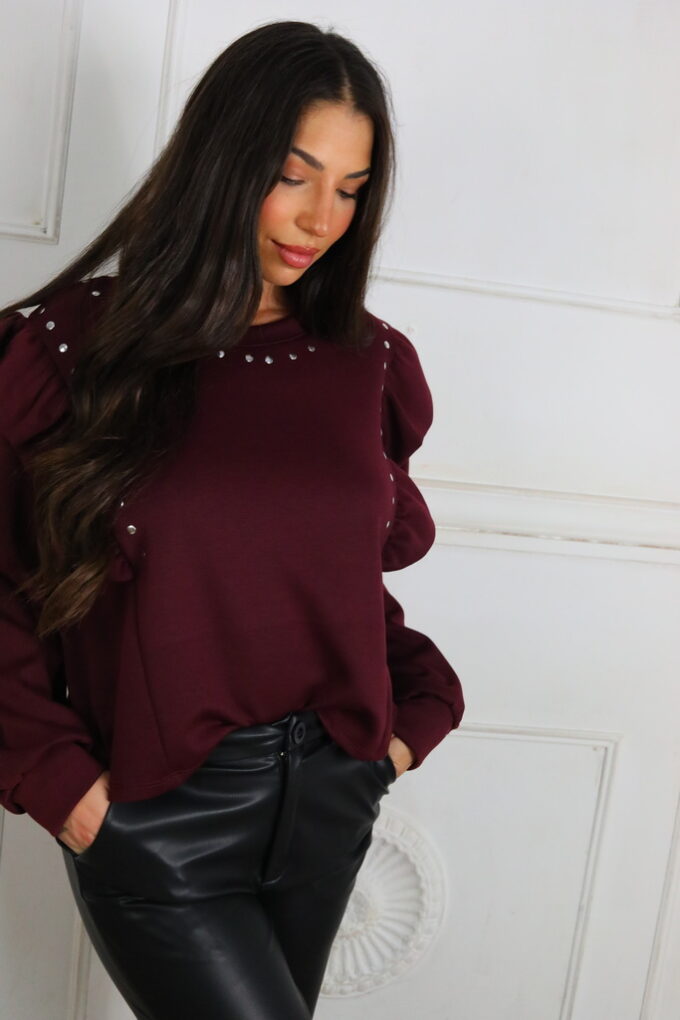 Sudadera Volantes Tachuelas