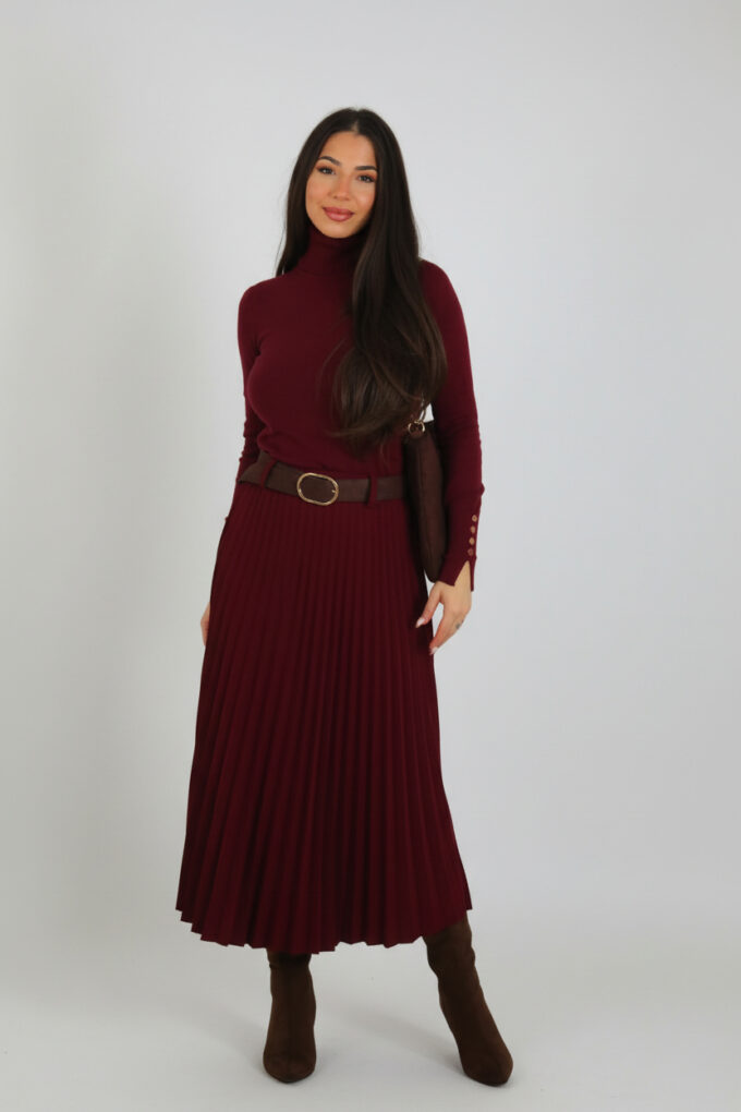 Falda Plisada Cinturón