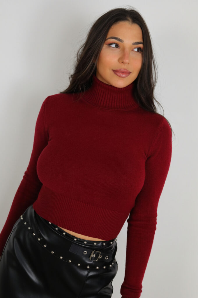 Jersey Corto Cuello Vuelto