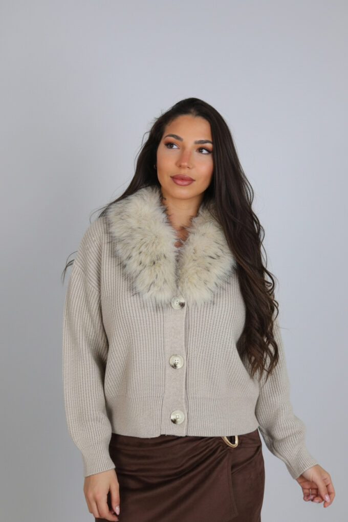 Rebeca Acanalada Pelos