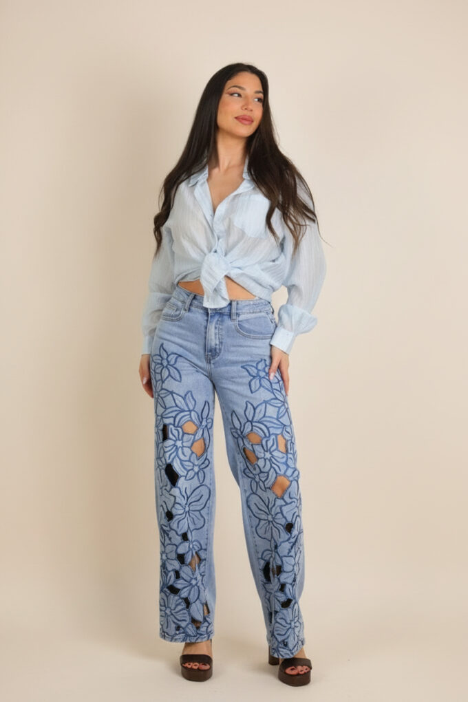 Vaquero Bordado Brillos