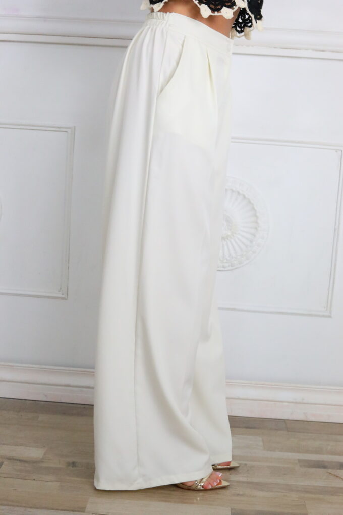 Pantalon Pinzas Palazzo