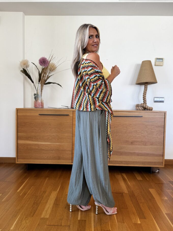 Pantalon Patente Pinza