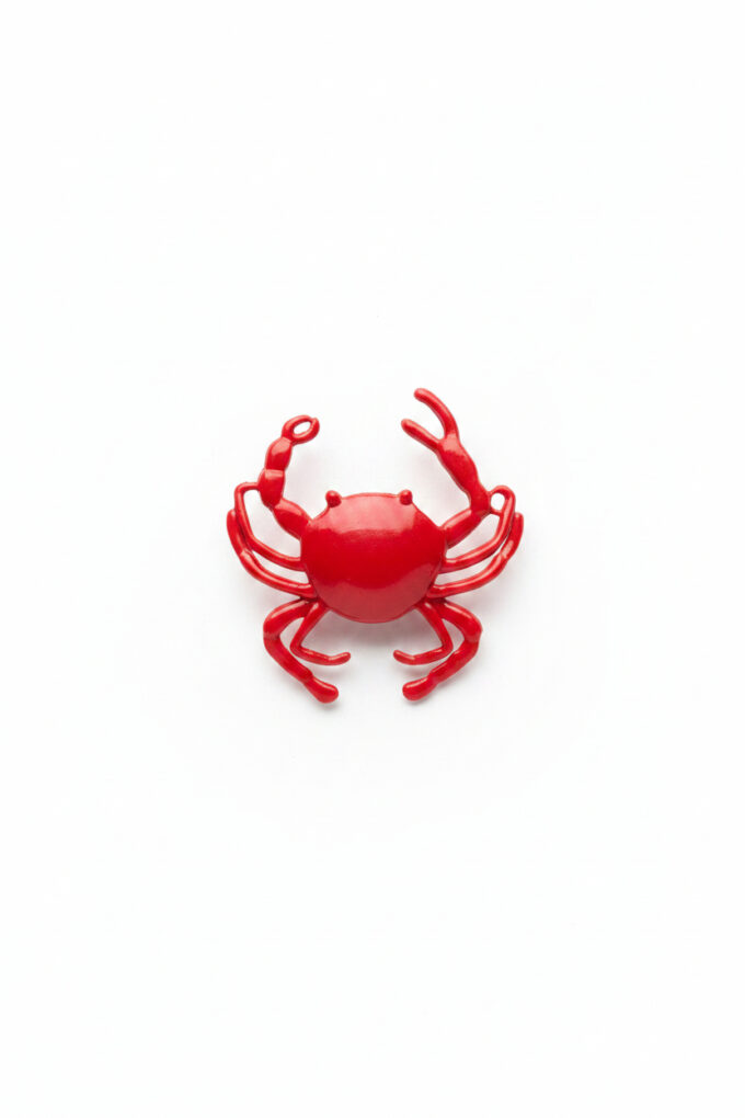 Anillo Crab